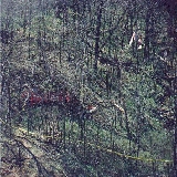 Plane 1