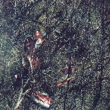 Plane 3